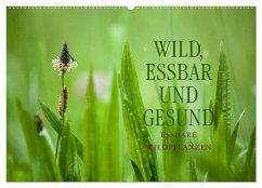 WILD, ESSBAR UND GESUND Essbare Wildpflanzen (Wandkalender 2026 DIN A2 quer), CALVENDO Monatskalender
