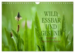 WILD, ESSBAR UND GESUND Essbare Wildpflanzen (Wandkalender 2026 DIN A4 quer), CALVENDO Monatskalender