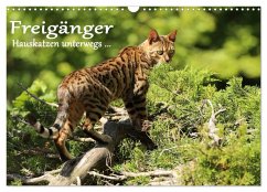 Cover Freigänger - Hauskatzen unterwegs (Wandkalender 2026 DIN A3 quer), CALVENDO Monatskalender