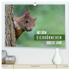 Mit dem Eichhörnchen durchs Jahr (hochwertiger Premium Wandkalender 2026 DIN A2 quer), Kunstdruck in Hochglanz Mit dem Eichhörnchen durchs Jahr (hochwertiger Premium Wandkalender 2026 DIN A2 quer), Kunstdruck in Hochglanz