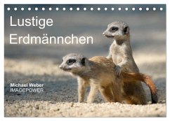 Cover Lustige Erdmännchen (Tischkalender 2026 DIN A5 quer), CALVENDO Monatskalender