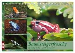 Baumsteigerfrösche. Pfeilgiftfrösche - gefährlich schön (Tischkalender 2026 DIN A5 quer), CALVENDO Monatskalender