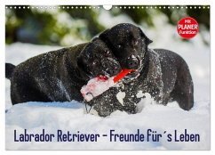 Labrador Retriever - Freunde für´s Leben (Wandkalender 2026 DIN A3 quer), CALVENDO Monatskalender