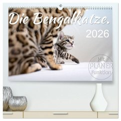 Cover Die Bengalkatze. Edition Jungtiere (hochwertiger Premium Wandkalender 2026 DIN A2 quer), Kunstdruck in Hochglanz