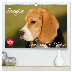 Beagle - Herz auf 4 Pfoten (hochwertiger Premium Wandkalender 2026 DIN A2 quer), Kunstdruck in Hochglanz Beagle - Herz auf 4 Pfoten (hochwertiger Premium Wandkalender 2026 DIN A2 quer), Kunstdruck in Hochglanz