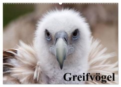Cover Greifvögel (Wandkalender 2026 DIN A2 quer), CALVENDO Monatskalender