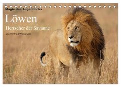 Cover Magie des Augenblicks - Löwen - Herrscher der Savanne (Tischkalender 2026 DIN A5 quer), CALVENDO Monatskalender