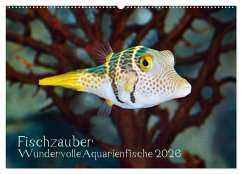 Fischzauber - Wundervolle Aquarienfische (Wandkalender 2026 DIN A2 quer), CALVENDO Monatskalender Fischzauber - Wundervolle Aquarienfische (Wandkalender 2026 DIN A2 quer), CALVENDO Monatskalender