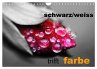 schwarz/weiß trifft farbe... - Bild 1