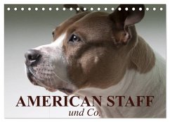 Cover American Staff und Co. (Tischkalender 2026 DIN A5 quer), CALVENDO Monatskalender