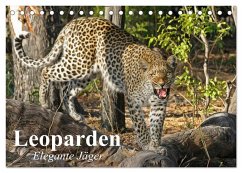 Cover Leoparden. Elegante Jäger (Tischkalender 2026 DIN A5 quer), CALVENDO Monatskalender
