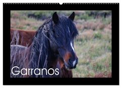 Cover Garranos - Bedrohte Wildpferde Europas (Wandkalender 2026 DIN A2 quer), CALVENDO Monatskalender