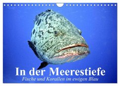Cover In der Meerestiefe. Fische und Korallen im ewigen Blau (Wandkalender 2026 DIN A4 quer), CALVENDO Monatskalender