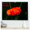 Mohnblumen (hochwertiger Premium... - Bild 1