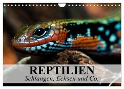 Reptilien Schlangen, Echsen und Co. (Wandkalender 2026 DIN A4 quer), CALVENDO Monatskalender
