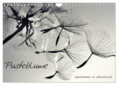 Pusteblume - Impressionen in schwarzweiß (Wandkalender 2026 DIN A4 quer), CALVENDO Monatskalender Pusteblume - Impressionen in schwarzweiß (Wandkalender 2026 DIN A4 quer), CALVENDO Monatskalender