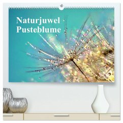 Naturjuwel Pusteblume (hochwertiger Premium Wandkalender 2026 DIN A2 quer), Kunstdruck in Hochglanz Naturjuwel Pusteblume (hochwertiger Premium Wandkalender 2026 DIN A2 quer), Kunstdruck in Hochglanz