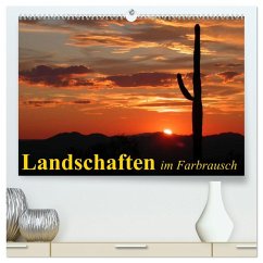 Cover Landschaften im Farbrausch (hochwertiger Premium Wandkalender 2026 DIN A2 quer), Kunstdruck in Hochglanz