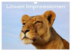 Cover Löwen Impressionen (Wandkalender 2026 DIN A4 quer), CALVENDO Monatskalender