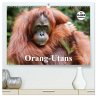 Orang-Utans (hochwertiger Premium... - Bild 1