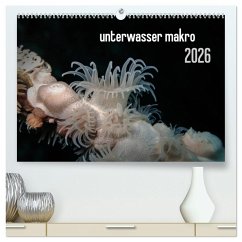 Cover unterwasser makro 2026 (hochwertiger Premium Wandkalender 2026 DIN A2 quer), Kunstdruck in Hochglanz