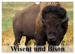 Cover Wisent und Bison (Wandkalender 2026 DIN A4 quer), CALVENDO Monatskalender