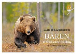 Cover Magie des Augenblicks - Bären in nordischen Wäldern (Wandkalender 2026 DIN A2 quer), CALVENDO Monatskalender
