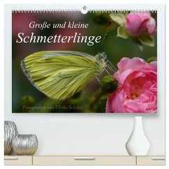 Große und kleine Schmetterlinge (hochwertiger Premium Wandkalender 2026 DIN A2 quer), Kunstdruck in Hochglanz Große und kleine Schmetterlinge (hochwertiger Premium Wandkalender 2026 DIN A2 quer), Kunstdruck in Hochglanz
