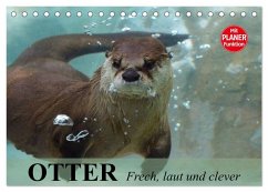 Cover Otter. Frech, laut und clever (Tischkalender 2026 DIN A5 quer), CALVENDO Monatskalender