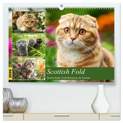 Scottish Fold. Zauberhafte Faltohrkatzen im Garten (hochwertiger Premium Wandkalender 2026 DIN A2 quer), Kunstdruck in Hochglanz Scottish Fold. Zauberhafte Faltohrkatzen im Garten (hochwertiger Premium Wandkalender 2026 DIN A2 quer), Kunstdruck in Hochglanz