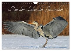 Cover Aus dem Leben der Graureiher (Wandkalender 2026 DIN A4 quer), CALVENDO Monatskalender