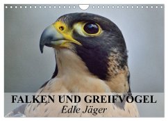 Cover Falken und Greifvögel. Edle Jäger (Wandkalender 2026 DIN A4 quer), CALVENDO Monatskalender