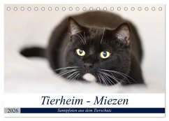 Tierheim - Miezen (Tischkalender 2026 DIN A5 quer), CALVENDO Monatskalender Tierheim - Miezen (Tischkalender 2026 DIN A5 quer), CALVENDO Monatskalender