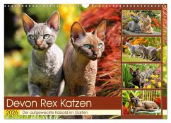 Cover Devon Rex Katzen. Der aufgeweckte Kobold im Garten (Wandkalender 2026 DIN A3 quer), CALVENDO Monatskalender