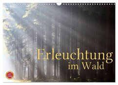 Cover Erleuchtung im Wald (Wandkalender 2026 DIN A3 quer), CALVENDO Monatskalender