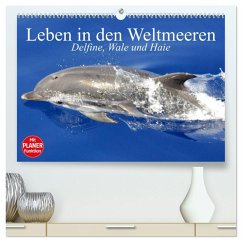 Leben in den Weltmeeren. Delfine, Wale und Haie (hochwertiger Premium Wandkalender 2026 DIN A2 quer), Kunstdruck in Hochglanz