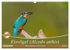 Eisvögel (Alcedo atthis) - Edelsteine der Natur (Wandkalender 2026 DIN A3 quer), CALVENDO Monatskalender