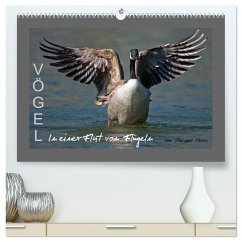 Cover VÖGEL (hochwertiger Premium Wandkalender 2026 DIN A2 quer), Kunstdruck in Hochglanz