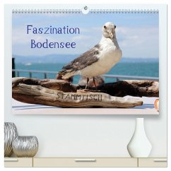 Faszination Bodensee (hochwertiger Premium Wandkalender 2026 DIN A2 quer), Kunstdruck in Hochglanz Faszination Bodensee (hochwertiger Premium Wandkalender 2026 DIN A2 quer), Kunstdruck in Hochglanz