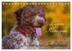 Cover Lagotto Romagnolo - Italienischer Trüffelhund (Tischkalender 2026 DIN A5 quer), CALVENDO Monatskalender