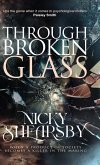 Through Broken Glass (The Flanigan Files, #3)