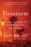 Firestorm (eBook, ePUB) Firestorm (eBook, ePUB)