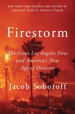 Cover Firestorm (eBook, ePUB)