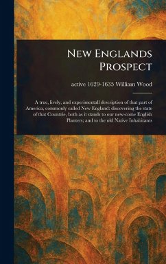 New Englands Prospect Cover New Englands Prospect