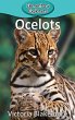 Ocelots - Bild 1