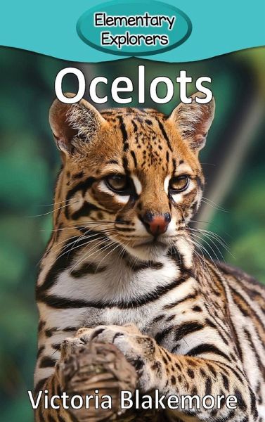 Ocelots