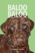 Baloo Baloo (eBook, ePUB) - Bild 1