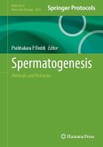 Spermatogenesis Spermatogenesis
