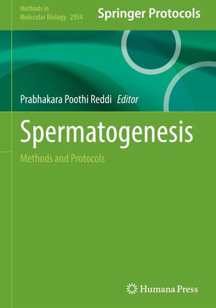 Spermatogenesis