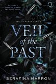 Veil of the Past